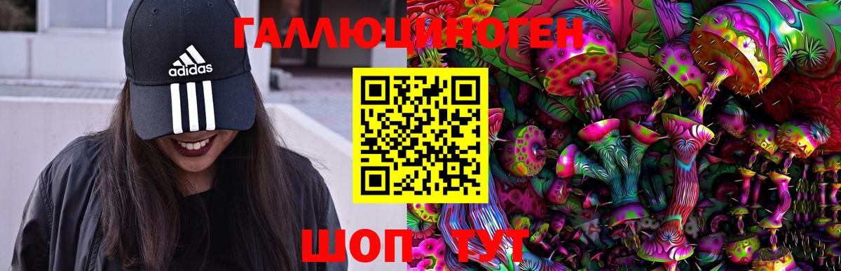 Самара  Псилоцибиновые грибы Psilocybe  Вход с VPN 