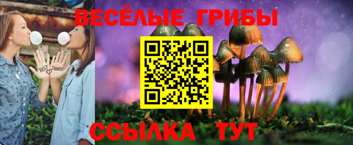 Псилоцибиновые грибы ЛСД Самара